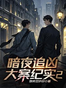  暗夜微光小说的阅读技巧 
